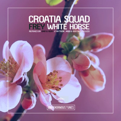 Song - White Horse (Nytron, M0B & Gustavo Peluzo Remix) - Croatia Squad & Frey