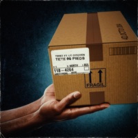 Tete 00 Pieds (feat. Le Citoyen) - Single - twi$t