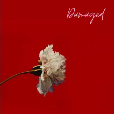 Damaged - Single