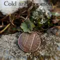 Cold & Lonesome