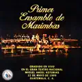Fiesta de pajaros