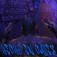 Hecho en Calles (feat. Ese Antrax) - Single - Maliante Vp
