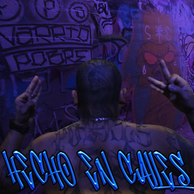 Hecho en Calles (feat. Ese Antrax) - Single