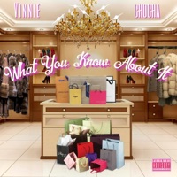 What You Know About It - Single - Vinnie Chocha