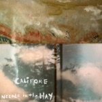 Califone - Crazy as a Loon