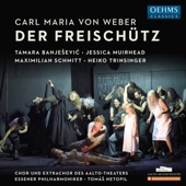 Der Freischütz, Op. 77, J. 277: Overture (Live) artwork
