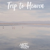 Trip to Heaven artwork