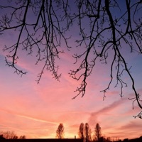 Paradiso Artificiale (feat. Fl3x) - Single - Elithium