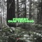 Forest Dwellers ( Ground ) - Skytechnic lyrics