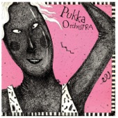 Pukka Orchestra - Cherry Beach Express