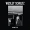 My City of Ruins - Wesley Schultz lyrics