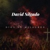David Silgado - Dios de Milagros