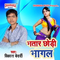 Bhatar Chhodi Bhagal - Single - Vikash Bedardi