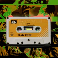 BAD TRIP (prod by. voidwake) - Single - Yn Krol