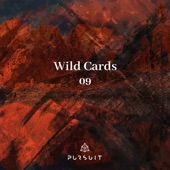 Wild Cards 09 - EP artwork