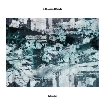 Listen to Zalderine - Single by A Thousand Details