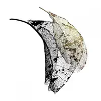 Reflect — Max Cooper