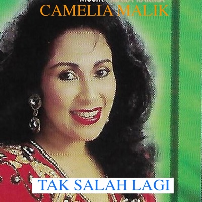 Song - Tak Salah Lagi - Camelia Malik