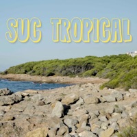 Suc Tropical (feat. Caro Norte & Carles Giuliani) - Single - Arjé & Caro Norte