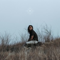Wolf - Single - Saint Mesa