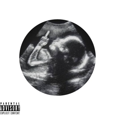 Freestyle 120 - Single