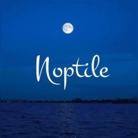 Noptile - Single - Alex Wave