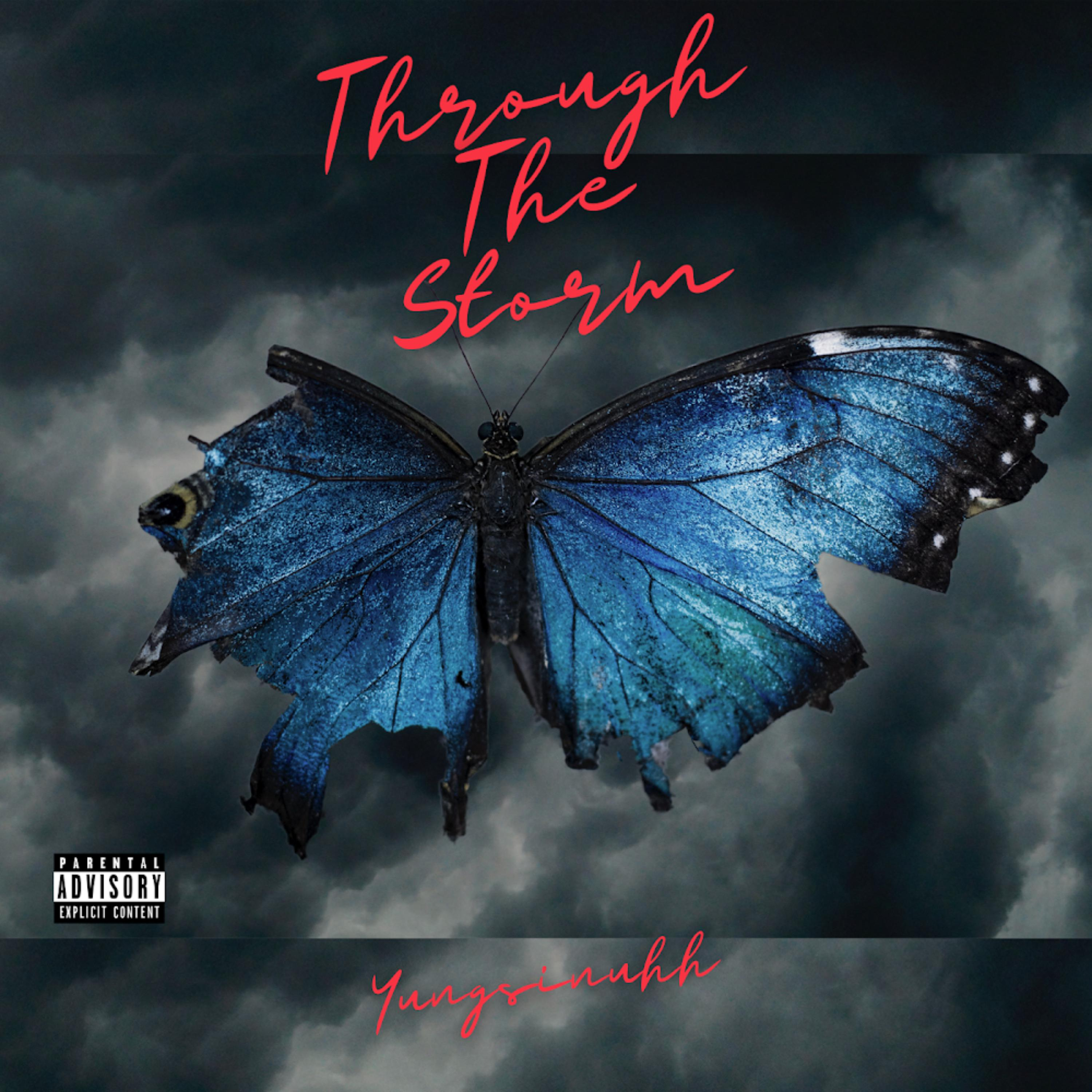 Through the Storm