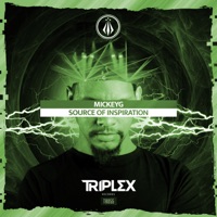 Source of Inspiration - Single - MickeyG