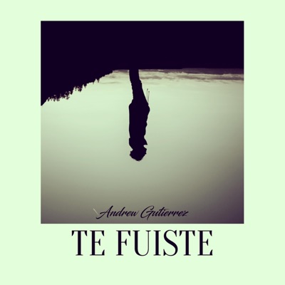 Te Fuiste - Single