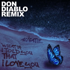 What If I Told You That I Love You (Don Diablo Remix) - Single