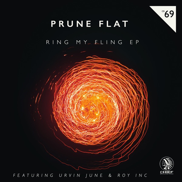 Ring My Fling - Single
