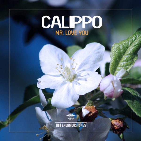 Mr. Love You - Single