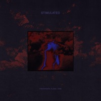 Stimulated (feat. A7mc) - Single - Checkpoints & R-Juna
