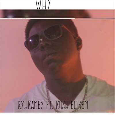 Why (feat. Kush Elikem) - Single