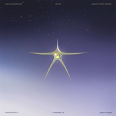 Star (feat. Mono/Poly) [A$AP Ferg Remix] artwork