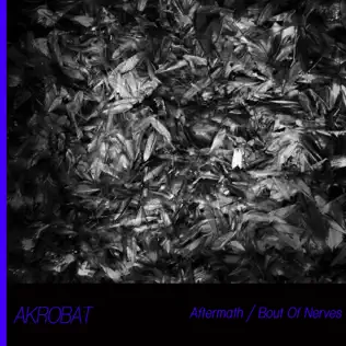 ladda ner album Download Akrobat - Aftermath Bout Of Nerves album