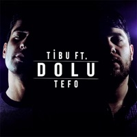 Dolu (feat. Tefo) - Single - Tibu