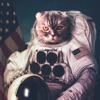 野良猫は宇宙を目指した