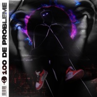100 de Probleme (feat. NMW Berechet) - Single - LilCagula