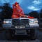 Sally Walker - Single