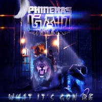 What It's Gon Be - Single - Phinehas Gad Israel