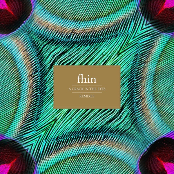 A Crack in the Eyes (Remixes) - Fhin