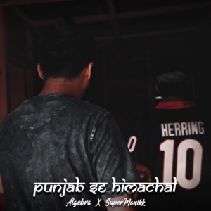 Punjab Se Himachal (feat. Manikk) - Single