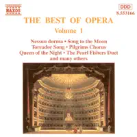 Les pêcheurs de perles, Act I: Au fond du temple saint — Igor Morozov, Janez Lotric, Johannes Wildner & Slovak Radio Symphony Orchestra