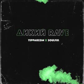 Дикий Rave Терраксом & Soulful