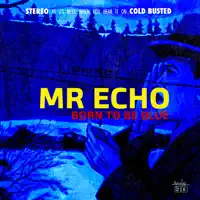 Moonchild — Mr Echo