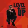 Level Up