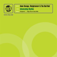 Intoxicating Rhythm - Single - Anne Savage, Vinylgroover & The Red Hed
