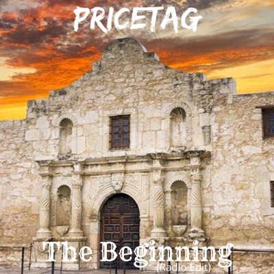 The Beginning (Radio Edit) - Single