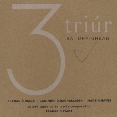 Triúr sa Draighean